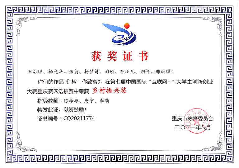 互联网+2奖.png
