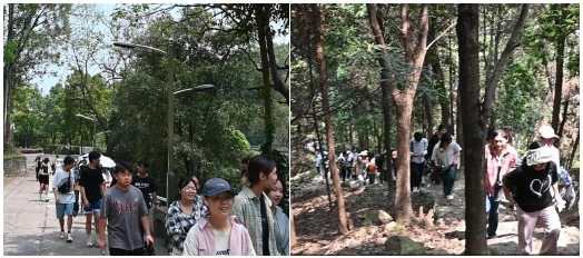 QQ截图20240417151847.png