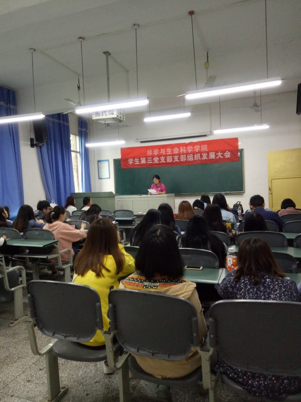 大会2.jpg